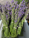 Fresh Lavender Bundle